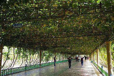 坤哥爆料：《直到黎明重制版》售价为59.99美元